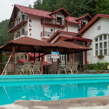 Pensiunea Alpin Păltiniş Esterno foto