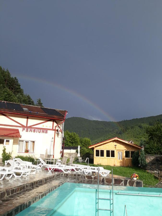 Pensiunea Alpin Păltiniş Esterno foto