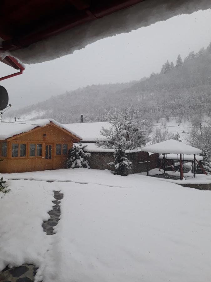 Pensiunea Alpin Păltiniş Esterno foto