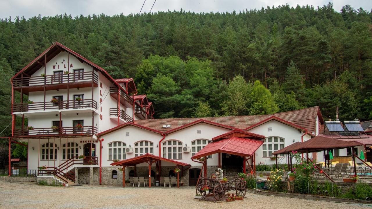 Pensiunea Alpin Păltiniş Esterno foto