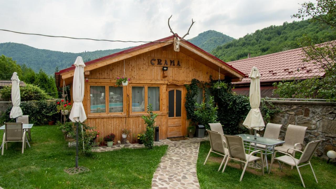 Pensiunea Alpin Păltiniş Esterno foto