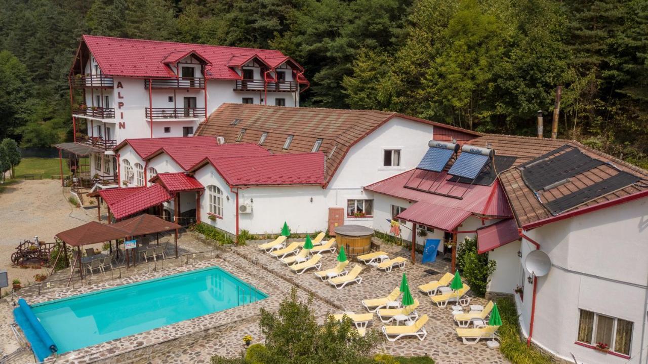 Pensiunea Alpin Păltiniş Esterno foto
