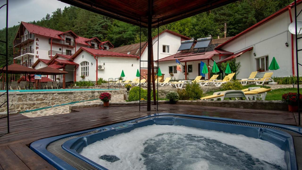 Pensiunea Alpin Păltiniş Esterno foto