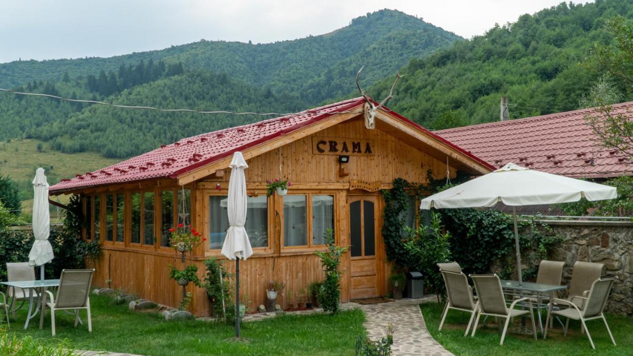Pensiunea Alpin Păltiniş Esterno foto