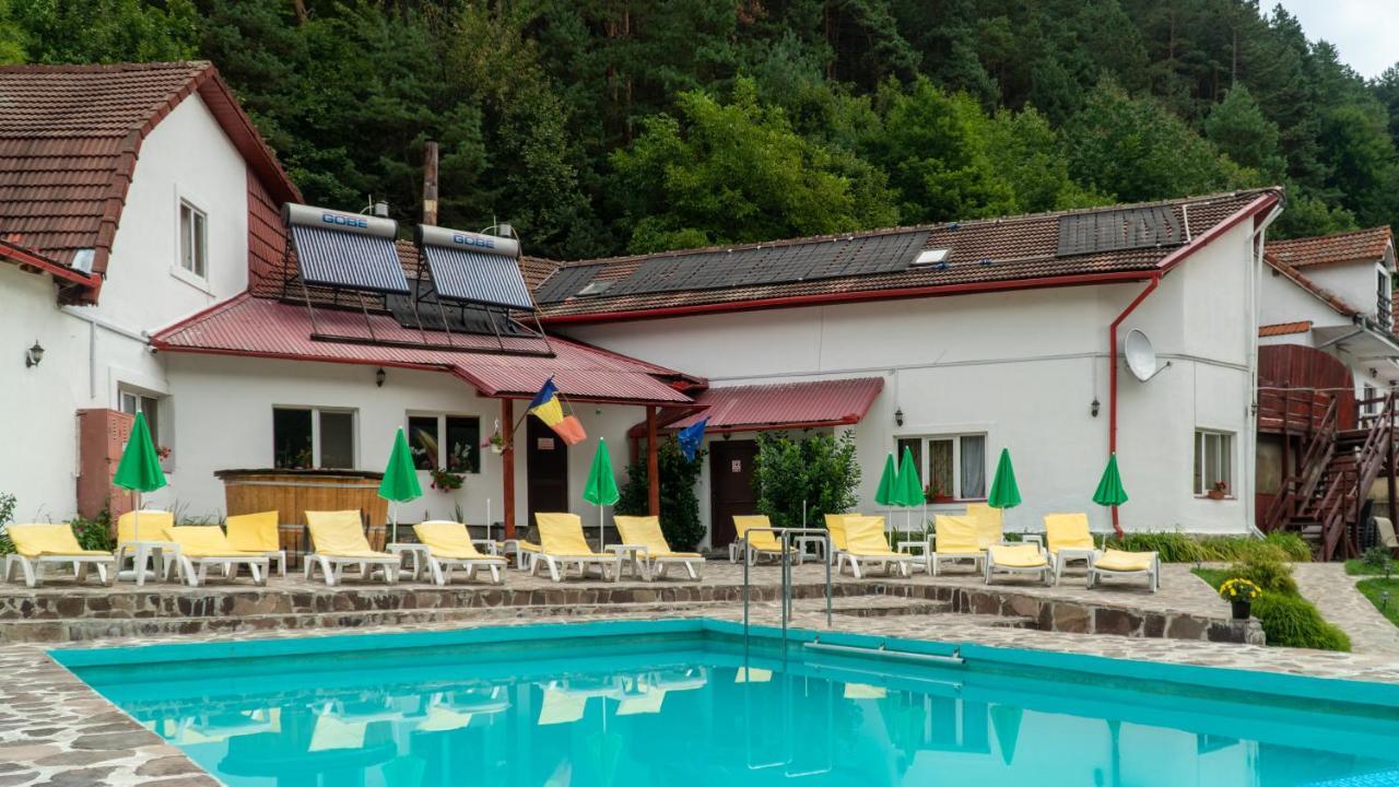 Pensiunea Alpin Păltiniş Esterno foto