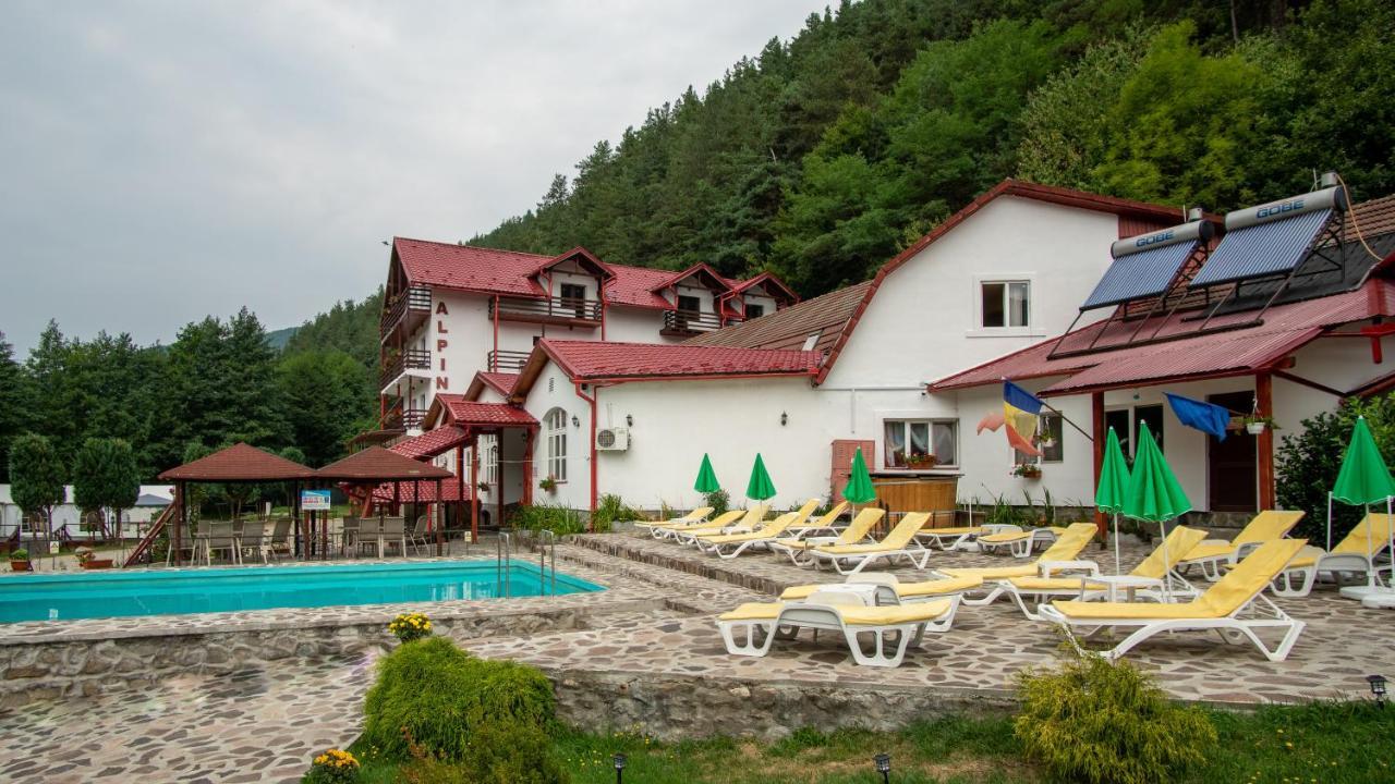 Pensiunea Alpin Păltiniş Esterno foto