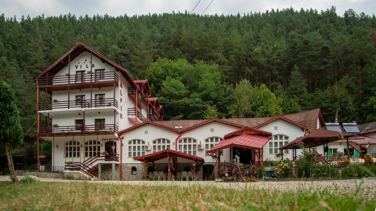 Pensiunea Alpin Păltiniş Esterno foto