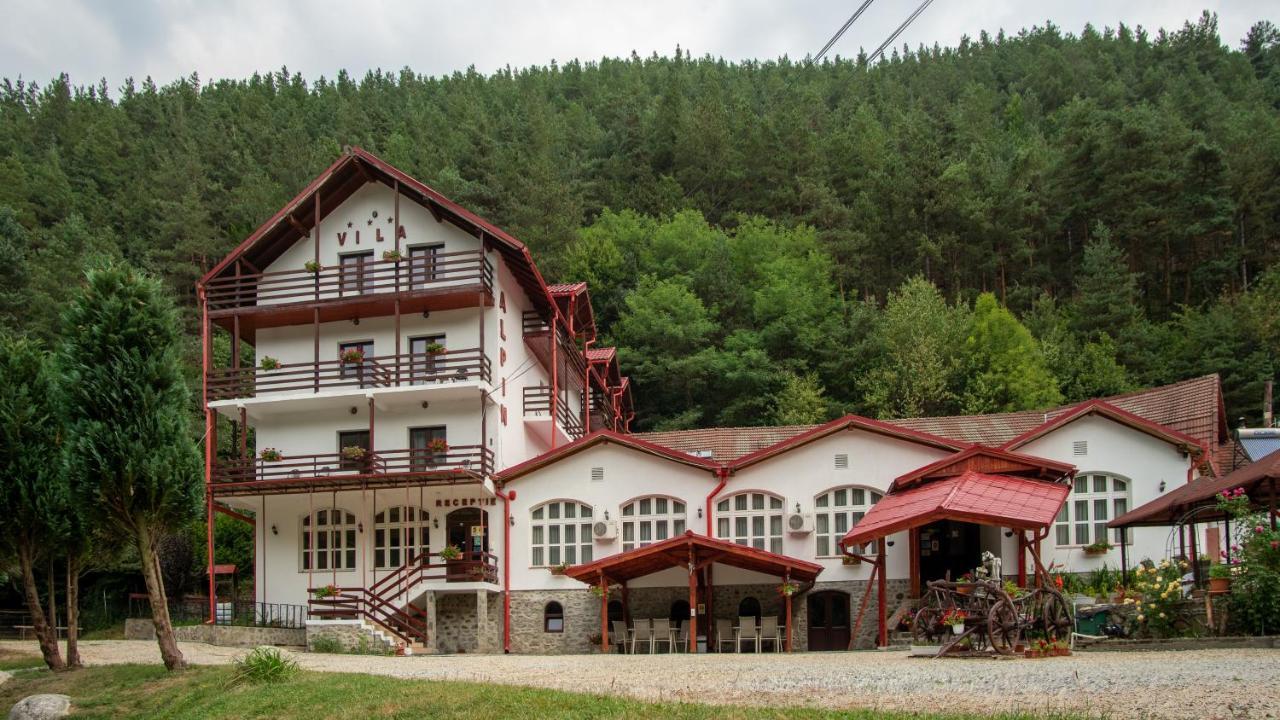Pensiunea Alpin Păltiniş Esterno foto
