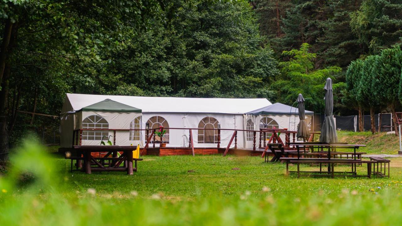 Pensiunea Alpin Păltiniş Esterno foto