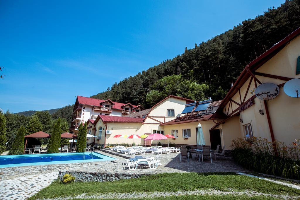 Pensiunea Alpin Păltiniş Esterno foto