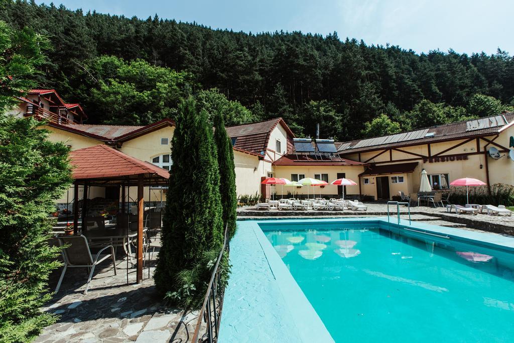 Pensiunea Alpin Păltiniş Esterno foto